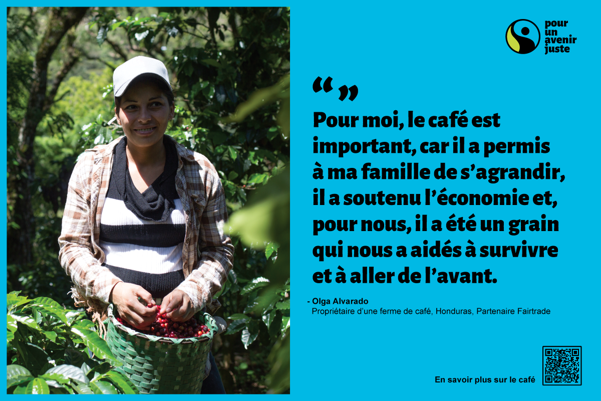 Infographic - Coffee