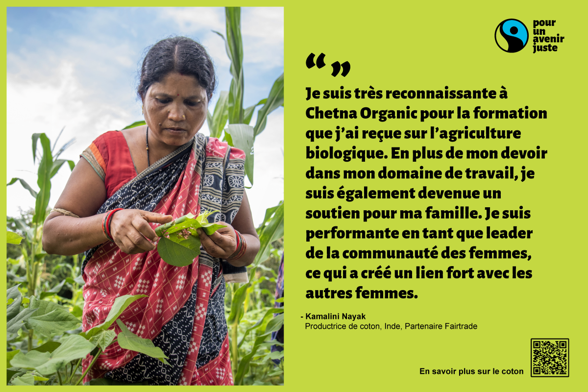 Infographic - Cotton