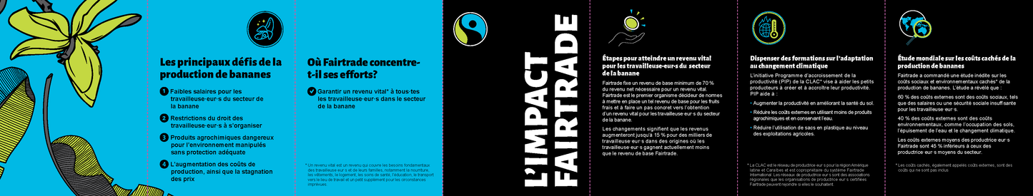 Fact Sheet - Bananas