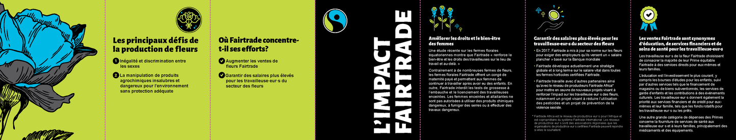 Fact Sheet - Flowers