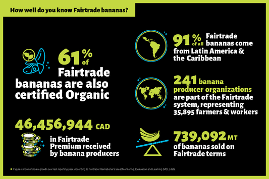 Infographie - Bananes