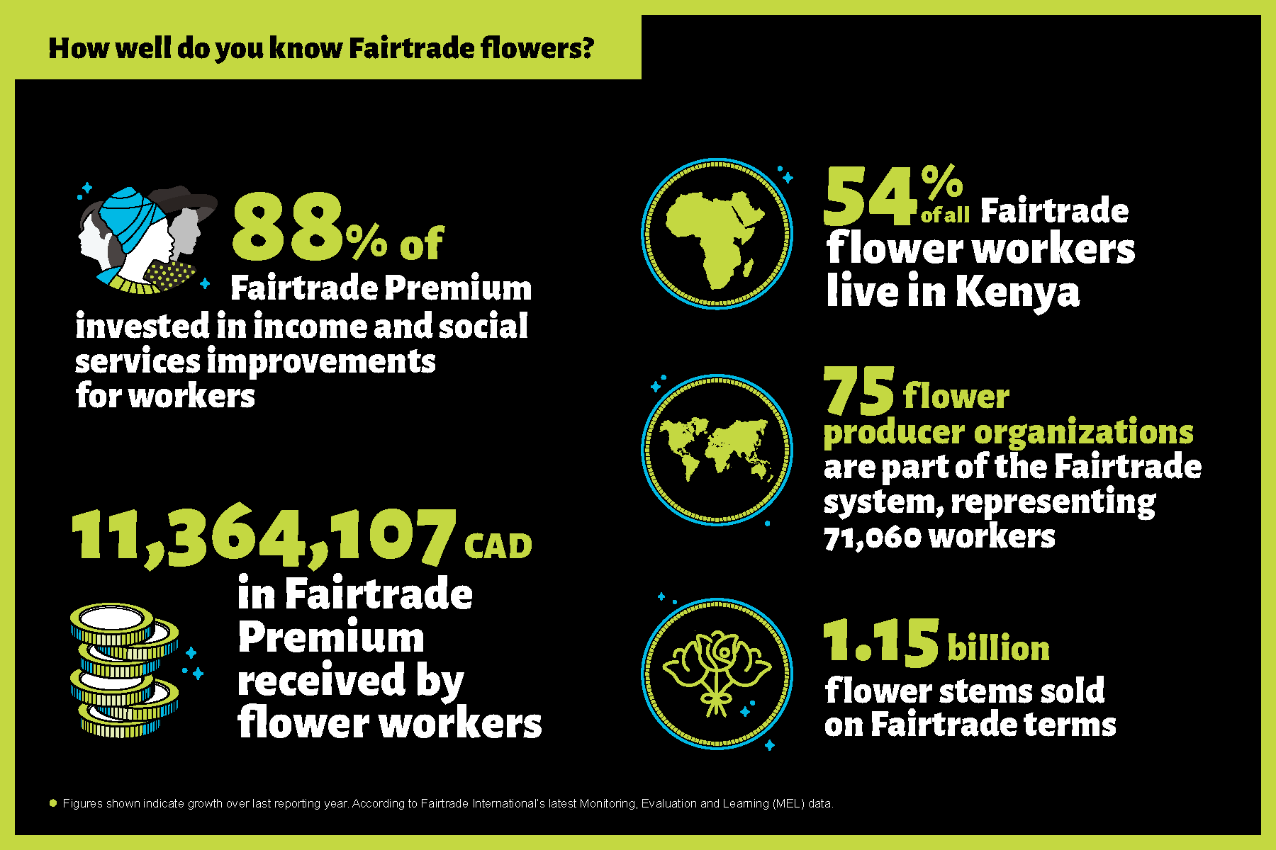 Infographic - Flowers