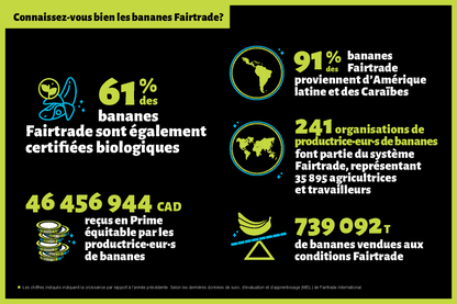 Infographie - Bananes