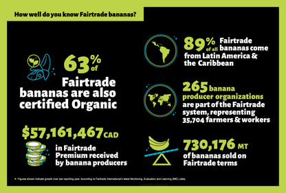 Infographie - Bananes