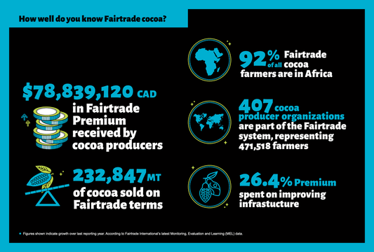 Infographie - Cacao