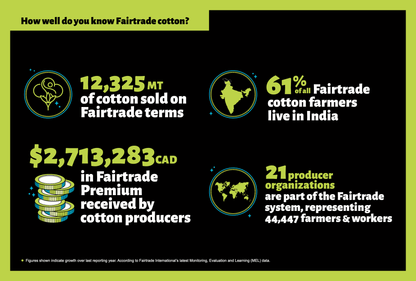 Infographie - Coton