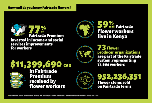 Infographie - Fleurs